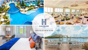 Discover Harbor Club, Curio Collection by Hilton | Travel Advisor Webinar